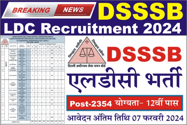DSSSB LDC Recruitment 2024 1